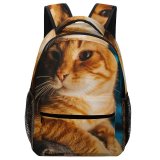 yanfind Children's Backpack Funny Curiosity Little Young  Portrait Kitten Pet Whisker Fur Wildlife Preschool Nursery Travel Bag