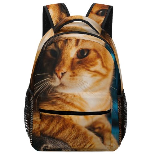 yanfind Children's Backpack Funny Curiosity Little Young  Portrait Kitten Pet Whisker Fur Wildlife Preschool Nursery Travel Bag