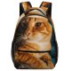 yanfind Children's Backpack Funny Curiosity Little Young  Portrait Kitten Pet Whisker Fur Wildlife Preschool Nursery Travel Bag