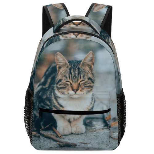 yanfind Children's Backpack Funny Outdoors Cute Little Street Young  Kitten Pet Wait Fur Portrait Preschool Nursery Travel Bag