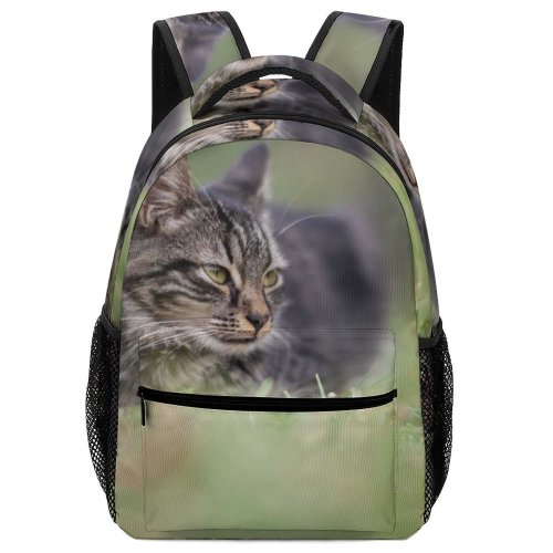 yanfind Children's Backpack Outdoors Cat Eyes Grass Pet Fur Whiskers Preschool Nursery Travel Bag
