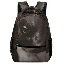 yanfind Children's Backpack Dog Pet Wallpapers Pictures Free Grey Images Preschool Nursery Travel Bag