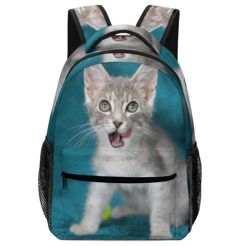 yanfind Children's Backpack Funny Curiosity Cute Cat Young Little  Portrait Pet Whisker Downy Fur Preschool Nursery Travel Bag