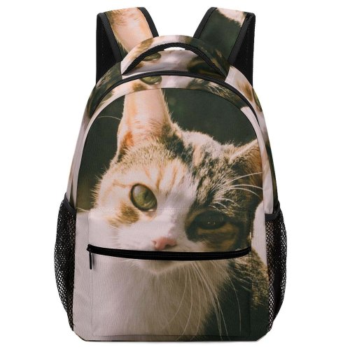 yanfind Children's Backpack Young Stripe Pet Funny Kitten Portrait Curiosity Cute Little Cat  Whisker Preschool Nursery Travel Bag