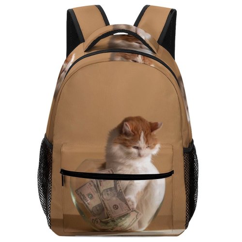 yanfind Children's Backpack Funny Curiosity Sit Love Baby Little  Studio Kitten Whisker Fur Portrait Preschool Nursery Travel Bag