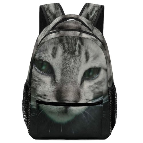 yanfind Children's Backpack Young Grey Pet Kitten Portrait Tabby Curiosity Cute Little Sit Cat Preschool Nursery Travel Bag