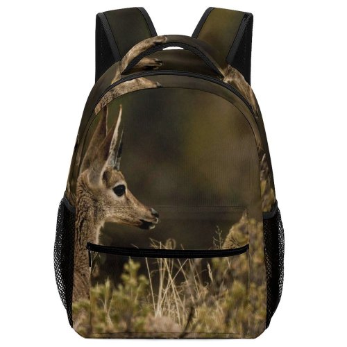 yanfind Children's Backpack Grassland Endangered Daylight Alert Deer Buck Fall Side Antelope Wild Wildlife Preschool Nursery Travel Bag