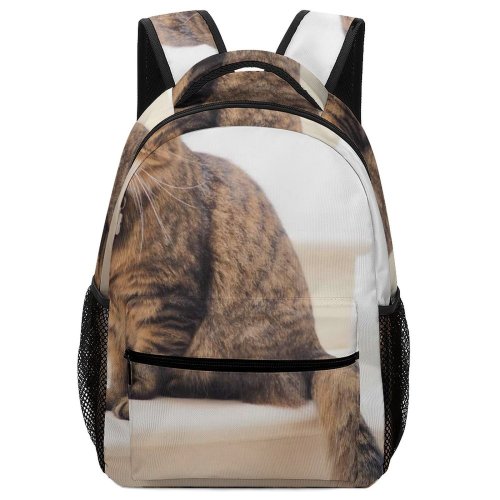 yanfind Children's Backpack London Abyssinian  Kitten Fur Cat Wallpapers Manx Cute Creative Images Preschool Nursery Travel Bag