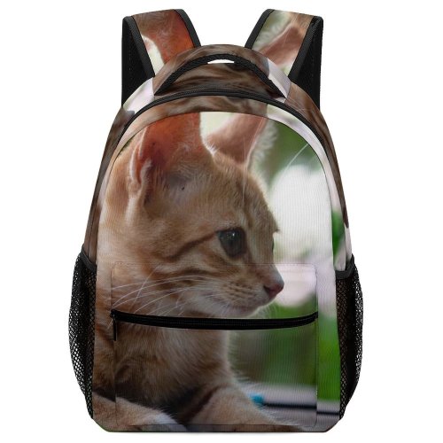 yanfind Children's Backpack Young Pet Funny Portrait Curiosity Cute Little Sit Sleep Cat  Whisker Preschool Nursery Travel Bag