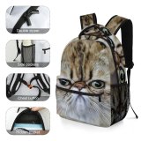 yanfind Children's Backpack  Pet Россия Pictures Kitten Grey Free Cat Moscow Images Wallpapers Preschool Nursery Travel Bag