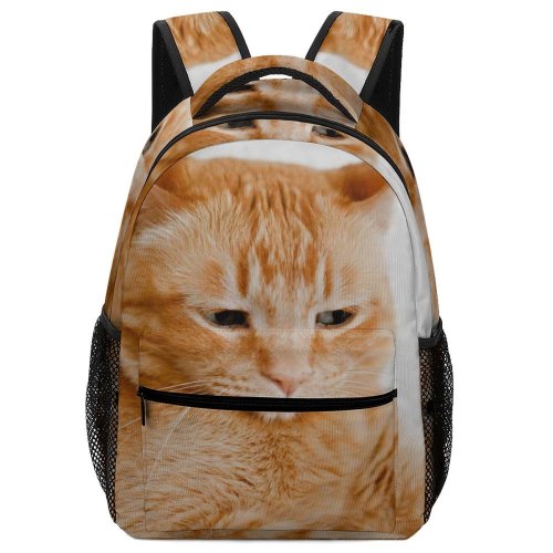 yanfind Children's Backpack Funny Curiosity Sit Cute Little Young  Portrait Kitten Pet Whisker Downy Preschool Nursery Travel Bag