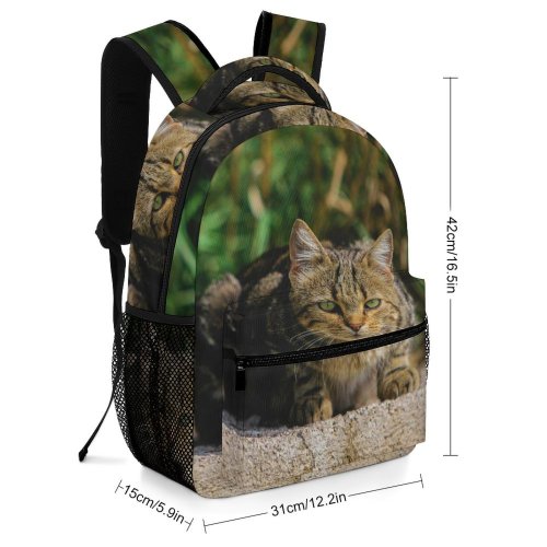 yanfind Children's Backpack Young Grass Pet Funny Outdoors Kitten Portrait Wildlife Cute Little Staring Cat Preschool Nursery Travel Bag