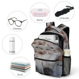 yanfind Children's Backpack  Focus Beautiful Cats Little Fur Downy Mammals Funny Kittens Adorable Cute Preschool Nursery Travel Bag