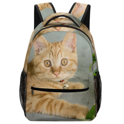 yanfind Children's Backpack Plant Eyes Kitty Pet Kitten Whiskers Cute Focus Little Furry Face Pavement Preschool Nursery Travel Bag