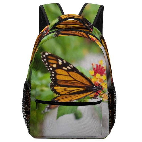 yanfind Children's Backpack Butterfly Insect Invertebrate Monarch Auckland Zealand Bee Honey Flower Creative Commons Preschool Nursery Travel Bag