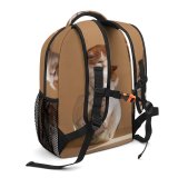 yanfind Children's Backpack Funny Curiosity Sit Love Baby Little  Studio Kitten Whisker Fur Portrait Preschool Nursery Travel Bag