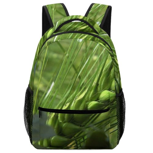 yanfind Children's Backpack Barley Corn Agriculture Country Field Farm Farming Spring Ear Spike Fan Flower Preschool Nursery Travel Bag
