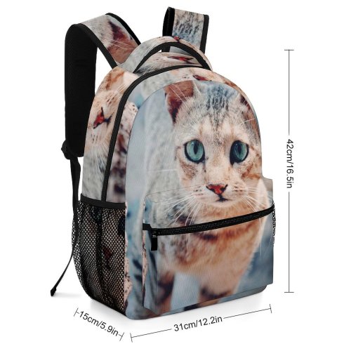 yanfind Children's Backpack Rock Baby Eyes Young Kitty Pet Outdoors Kitten Portrait Tabby Cute Little Preschool Nursery Travel Bag