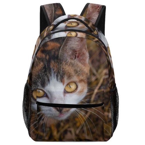 yanfind Children's Backpack Grey Pet Kitten Portrait Cute Adorable Staring Furry  Curious Nose Whisker Preschool Nursery Travel Bag
