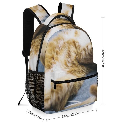 yanfind Children's Backpack Rest Cute Sleep Sleeping Cat Little Adorable Kitten Pet Fur Whiskers Preschool Nursery Travel Bag