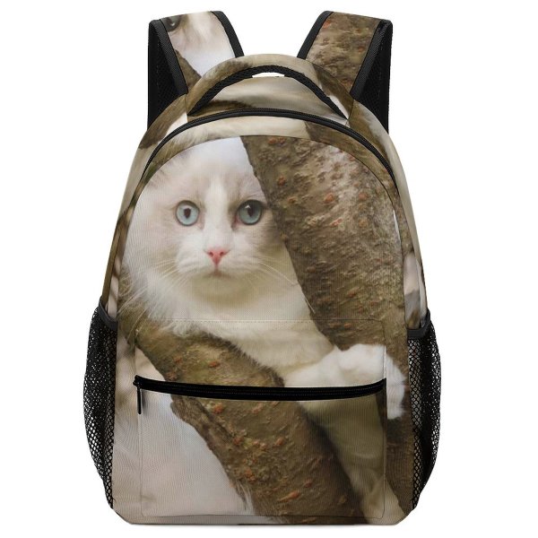 yanfind Children's Backpack  Climb Focus Fur Tree Eyes Cat Felidae Climbing Preschool Nursery Travel Bag