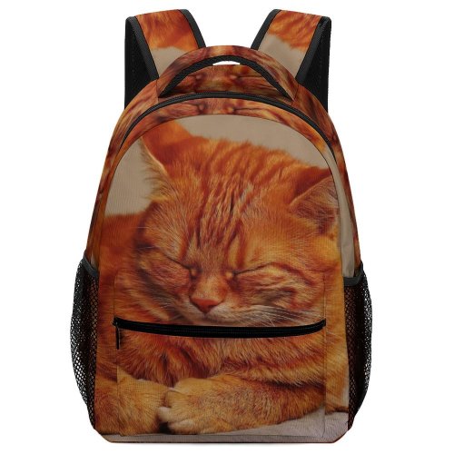 yanfind Children's Backpack Young Studio Pet Mat Felidae Tabby Sweet Whiskers Cute Focus  Adorable Preschool Nursery Travel Bag