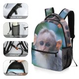 yanfind Children's Backpack  Focus Monkey Park Primate Wild Little Daylight Baby  Wildlife Portrait Preschool Nursery Travel Bag