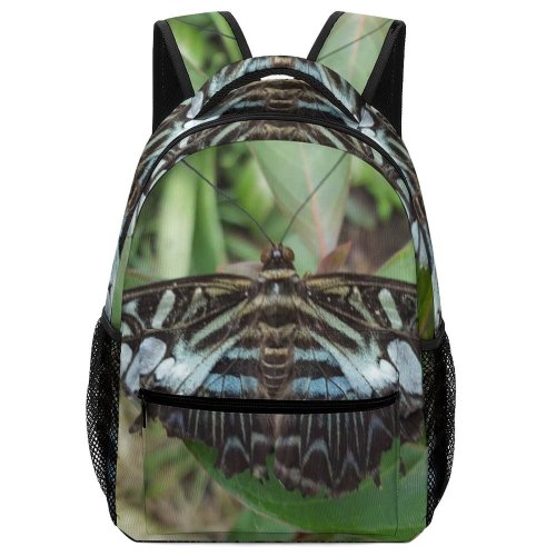 yanfind Children's Backpack Butterfly Insect Invertebrate Swan's Nest Lane Stratford Upon Avon Cv Ls United  Moth Preschool Nursery Travel Bag