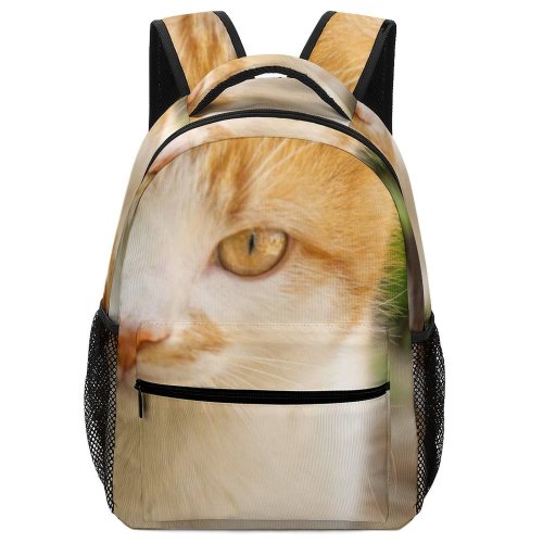 yanfind Children's Backpack Creative Images Cat Pictures Wallpapers Pet Kitten Manx Commons Preschool Nursery Travel Bag