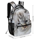 yanfind Children's Backpack Young Grey Pet Funny Kitten Portrait Cute Little Adorable Staring Cat Preschool Nursery Travel Bag