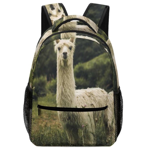 yanfind Children's Backpack  Focus Rural Llama Depth Grass Livestck Field Nelson Pasture Zealand Wool Preschool Nursery Travel Bag