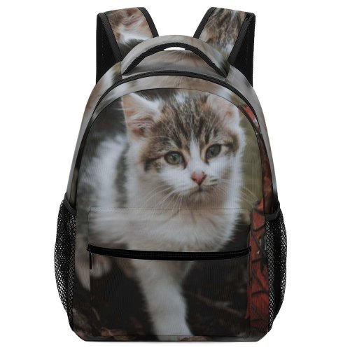yanfind Children's Backpack Messy Daylight Countryside Interest Kitty Pet Walk Creature Funny Outdoors Friendly Kitten Preschool Nursery Travel Bag