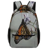 yanfind Children's Backpack Butterfly Monarch Insect Invertebrate Tallgrass Pana Il Usa Birds Stock Preschool Nursery Travel Bag