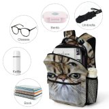 yanfind Children's Backpack  Pet Россия Pictures Kitten Grey Free Cat Moscow Images Wallpapers Preschool Nursery Travel Bag