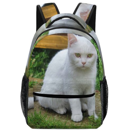 yanfind Children's Backpack Young Grass Pet Funny Outdoors Kitten Portrait Cute Little Sit Cat Preschool Nursery Travel Bag