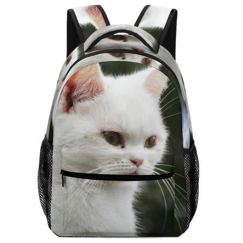 yanfind Children's Backpack Pet Funny Kitten Portrait Curiosity Cute Little Adorable Furry Cat  Whisker Preschool Nursery Travel Bag