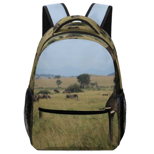 yanfind Children's Backpack Landscape Savanna Plant Wildlife Pictures Grassland Outdoors Stock Grey  Dombo Preschool Nursery Travel Bag