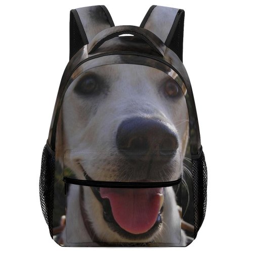 yanfind Children's Backpack Dog Puppy Vertebrate Canidae Carnivore Snout Nose Sporting Preschool Nursery Travel Bag