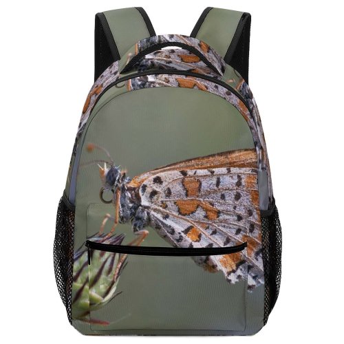 yanfind Children's Backpack Butterfly Insect Invertebrate Plant  Flower Birds Preschool Nursery Travel Bag