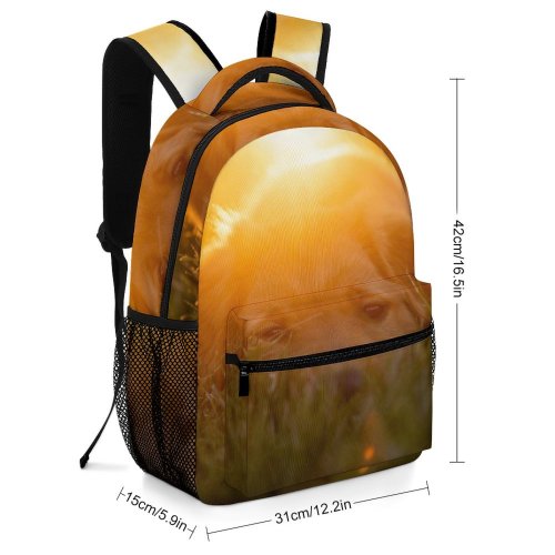 yanfind Children's Backpack Golden Dog Pet Sunlight Puppies Light  Hour Iowa Nebraska Dusk Sunset Preschool Nursery Travel Bag
