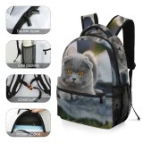 yanfind Children's Backpack Lazy Young Grey Pet Outdoors Family Portrait Cute Love Little Sleep Cat Preschool Nursery Travel Bag