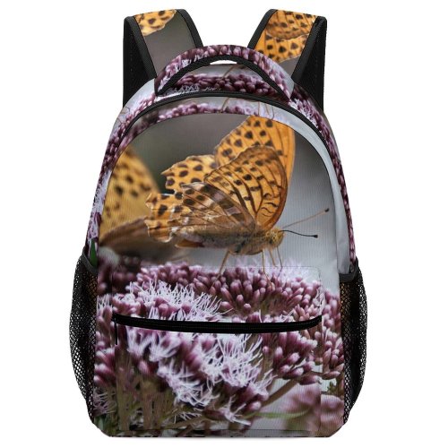 yanfind Children's Backpack Butterfly Insect Invertebrate Monarch Cingoli Italy Preschool Nursery Travel Bag