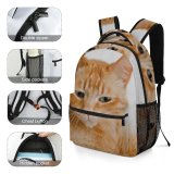 yanfind Children's Backpack Funny Curiosity Sit Cute Little Young  Portrait Staring Kitten Pet Whisker Preschool Nursery Travel Bag