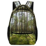 yanfind Children's Backpack Forest Plant Vegetation Land Outdoors Tree Woodland  Summer Sunlight Jungle Rainforest Preschool Nursery Travel Bag