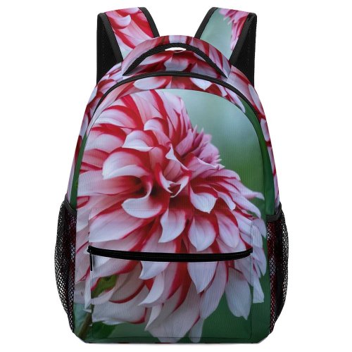 yanfind Children's Backpack  Dahlia Flower Plant Toledo Botanical Garden Oh Usa Rose Creative Commons Preschool Nursery Travel Bag