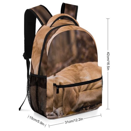 yanfind Children's Backpack Fall United Pet Fur Laying Pictures Stock Grey Free Englewood Dog Preschool Nursery Travel Bag