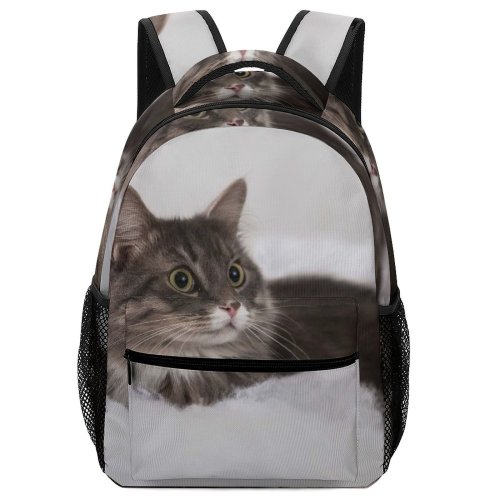 yanfind Children's Backpack Fluffy Scare Cotton Kitten Cat Wool Bed Wallpapers Manx Images Preschool Nursery Travel Bag
