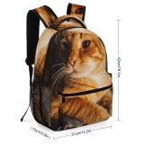 yanfind Children's Backpack Funny Curiosity Little Young  Portrait Kitten Pet Whisker Fur Wildlife Preschool Nursery Travel Bag