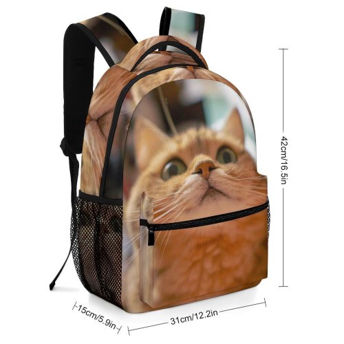 yanfind Children's Backpack Young Studio Pet Funny Kitten Portrait Cute Little Face Pretty  Whisker Preschool Nursery Travel Bag