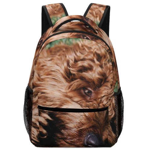 yanfind Children's Backpack Dog Pet Free Pictures Spaniel Images Cocker Preschool Nursery Travel Bag